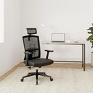 Noblewell Ergonomic Office Mesh Chair W/Lumbar Support & Adjustable Headrest