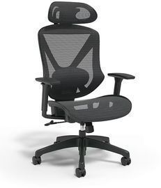 Staples Dexley Ergonomic Mesh Swivel Task Chair