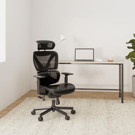 Ergonomic Mesh Office Chair W/Adjustable Lumbar Support