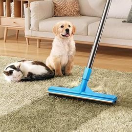 Carpet Rake for Pet Hair Removal