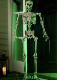 Joyin 5.6' Posable Life Size Skeleton