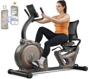 Niceday Stationary Recumbent Exercise Bike