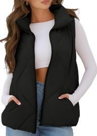 Sleeveless Puffer Vest